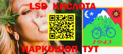 гашик Нальчик