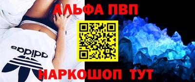 гашик Нальчик