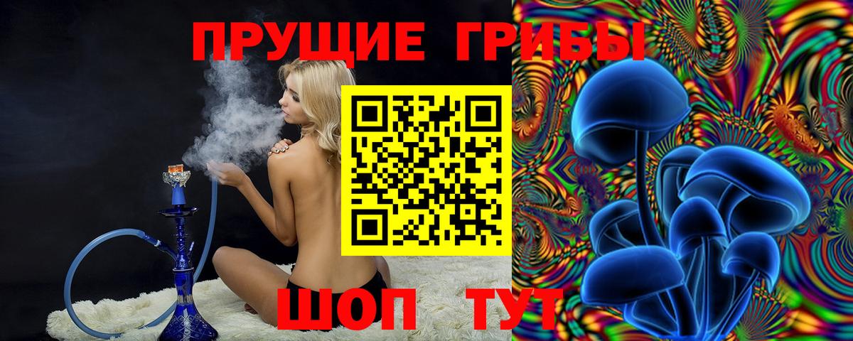как найти   Вход с VPN  Галлюциногенные грибы Psilocybe  Сафоново  Псилоцибиновые грибы мухоморы 